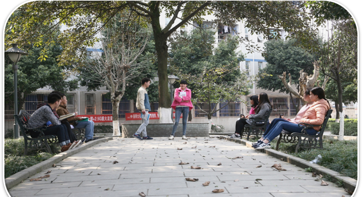 学校环境