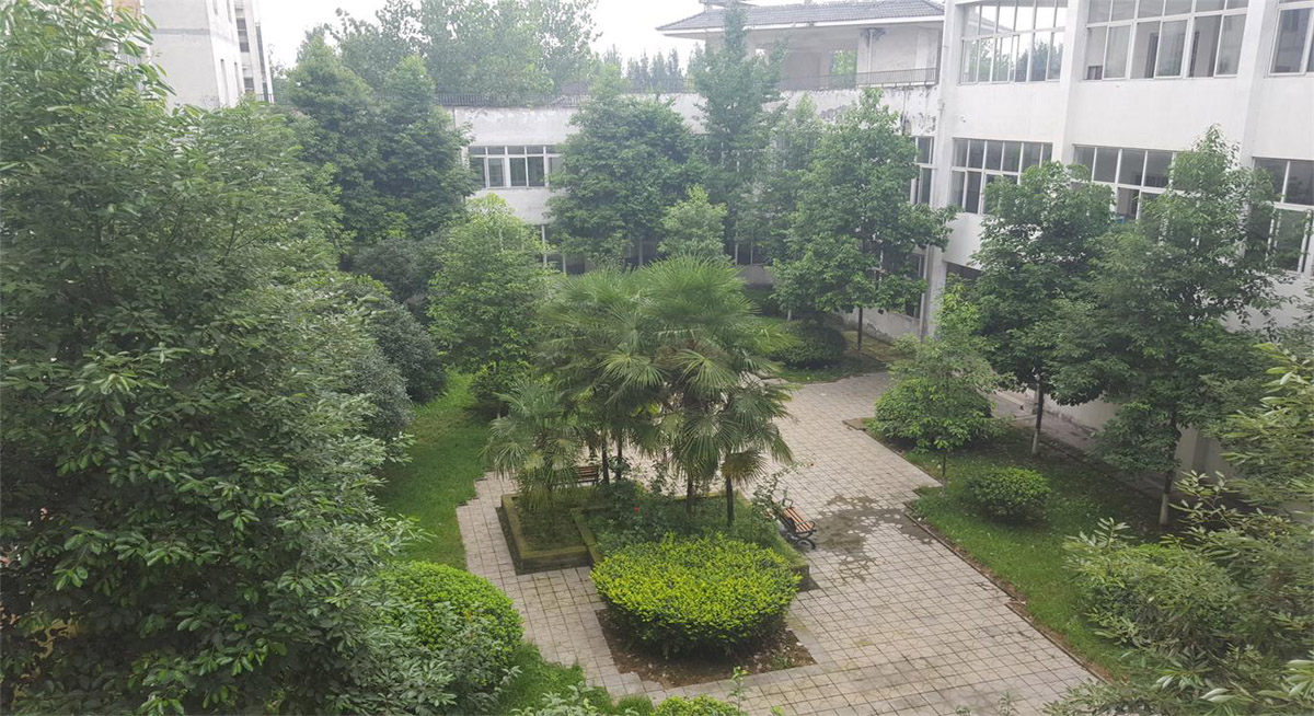 环境