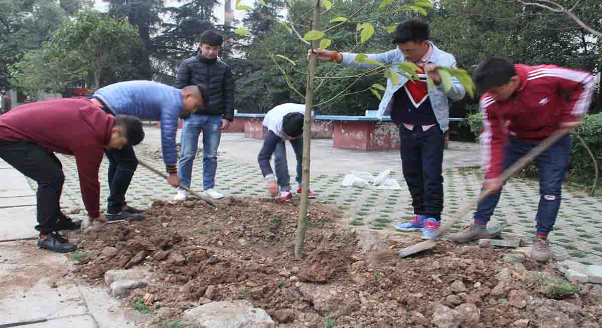学校环境