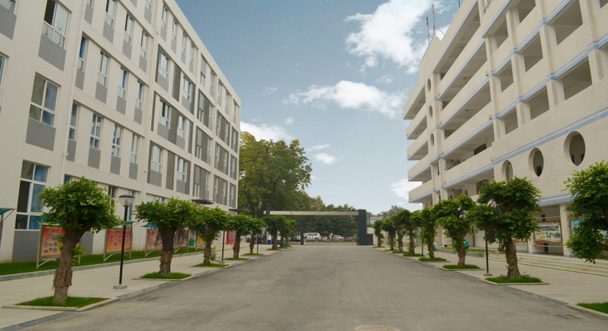 学校相册