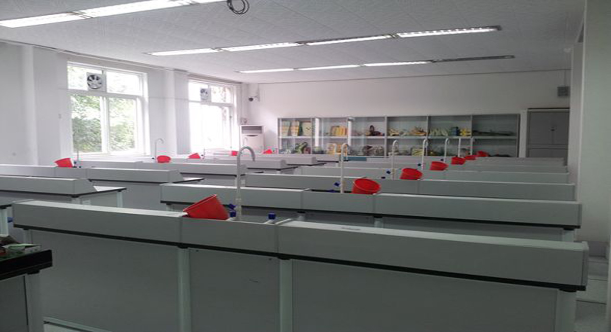 校内风景