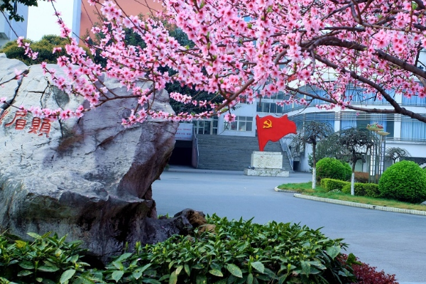 江油中学校园环境
