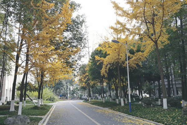 绵阳普明中学环境
