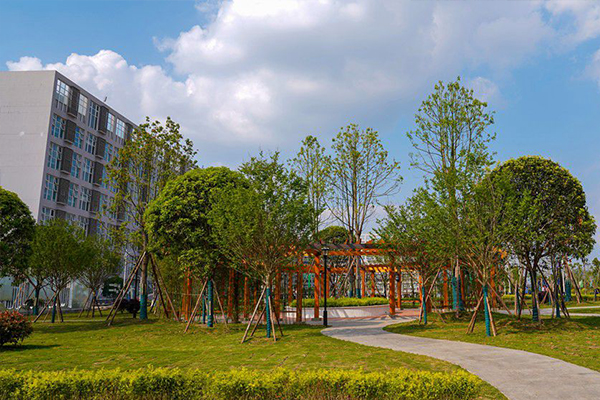 四川科慧技工学校环境 四川科慧技工学校环境
