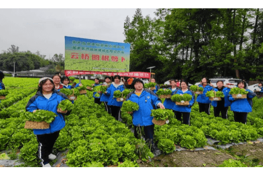 友爱职校