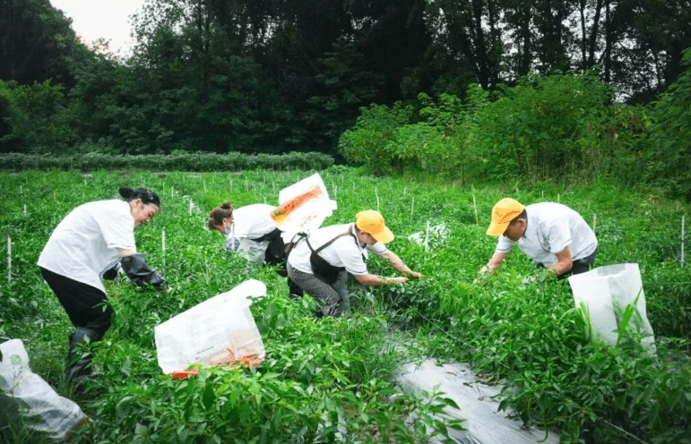 成都华商理工职业学校