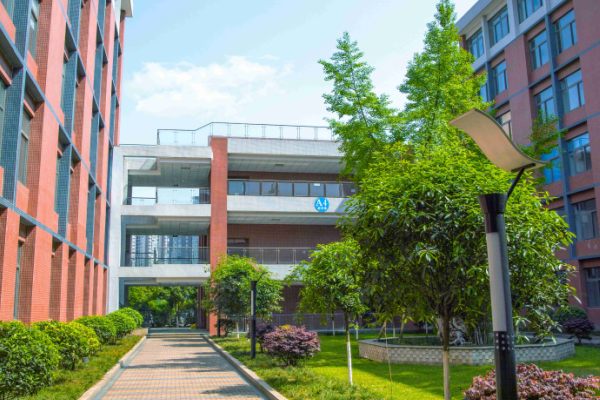 四川托普信息技术职业学院招生简章