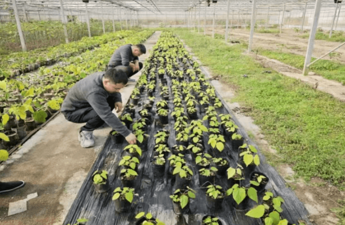 达州职业技术学院